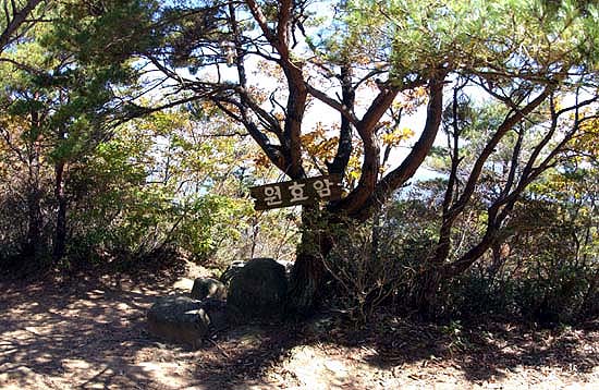 산등성이엘 올라서니 원효암을 알리는 작은 팻말이 덩그러니 매달려 있다. 